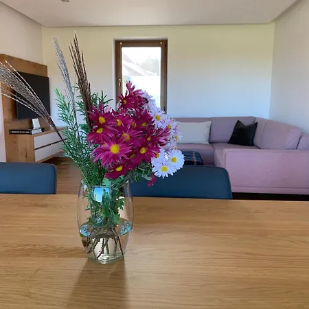 Hisa Nad Izvirom Reke Krke