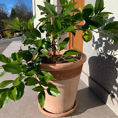 Hisa Nad Izvirom Reke Krke Znojile pri Krki