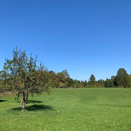 Hisa Nad Izvirom Reke Krke * Znojile pri Krki