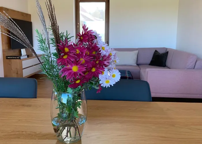 Hisa Nad Izvirom Reke Krke