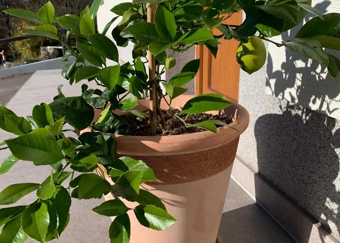 Hisa Nad Izvirom Reke Krke Znojile pri Krki