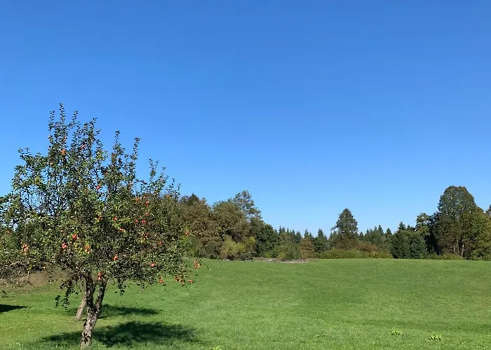 Hisa Nad Izvirom Reke Krke * Znojile pri Krki